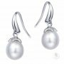 Round Pearl Noble Hoop Earrings